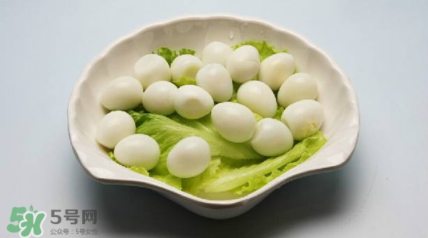 鵪鶉蛋和雞蛋哪個營養(yǎng)價值高？鵪鶉蛋怎么選購？