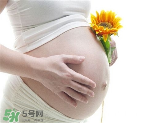 懷孕會有哪些身體反應？孕期會有哪些不適？