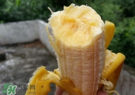 芭蕉是熱性還是涼性？芭蕉是熱性還是寒性？
