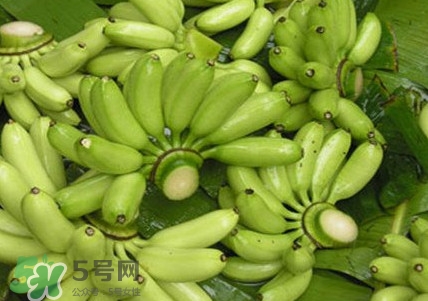 芭蕉如何保存時(shí)間久？青芭蕉摘下來怎么保存