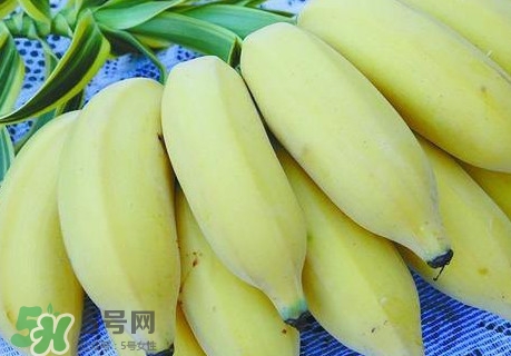 芭蕉里面的黑籽是什么？芭蕉是草本類還是木本類