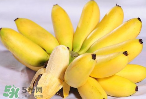 芭蕉是熱性還是涼性？芭蕉是熱性還是寒性？