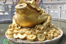 蟾蜍能活多久？蟾蜍可以活多少年