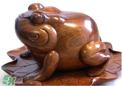 蟾蜍有什么寓意？為什么蟾蜍被寓意為招財(cái)？