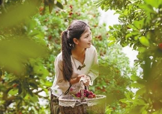 仙居楊梅在哪里？仙居楊梅哪里最好？