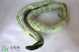 蛇瓜怎么挑選？蛇瓜的選購技巧