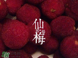 仙居楊梅多少錢(qián)一斤？仙居楊梅多少錢(qián)一斤2017？