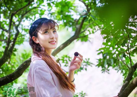 仙居楊梅在哪里？仙居楊梅哪里最好？