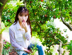 仙居楊梅在哪里？仙居楊梅哪里最好？