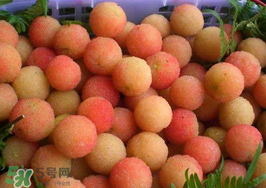 白楊梅可以泡酒嗎？白楊梅泡酒有什么功效？