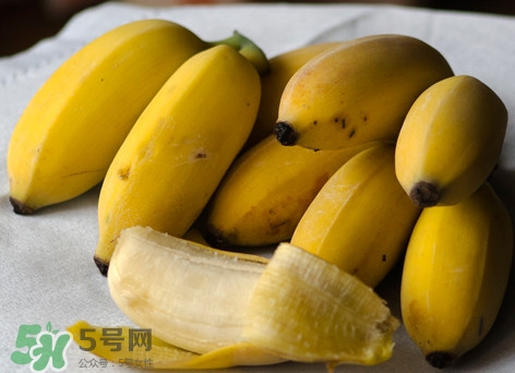 皇帝蕉是不是香蕉？皇帝蕉與普通香蕉區(qū)別