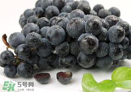 無(wú)籽葡萄有哪些品種？無(wú)籽葡萄多少錢一斤？