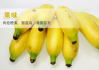 皇帝蕉多少錢一斤？2017皇帝蕉價(jià)格