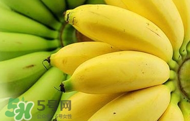 帝王蕉多少錢一斤？帝王蕉是轉(zhuǎn)基因香蕉嗎