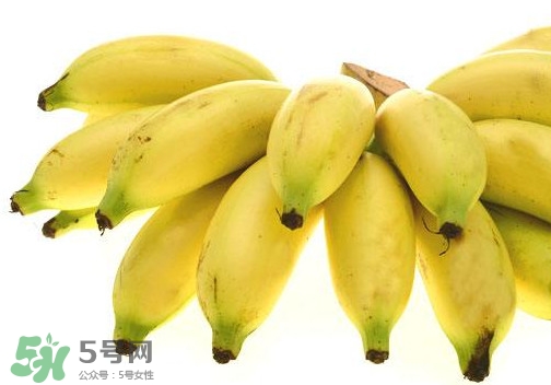帝王蕉是芭蕉嗎？帝王蕉和芭蕉的區(qū)別