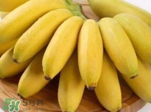 帝王蕉多少錢一斤？帝王蕉是轉(zhuǎn)基因香蕉嗎