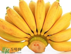 皇帝蕉是芭蕉嗎？皇帝蕉和芭蕉的區(qū)別