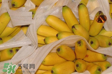 皇帝蕉是不是香蕉？皇帝蕉與普通香蕉區(qū)別