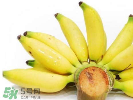 皇帝蕉有什么好處？皇帝蕉的功效與作用