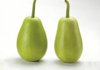 苦瓠子有毒嗎？苦瓠子中毒怎么辦？