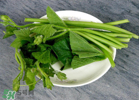 南瓜葉怎么處理？南瓜葉怎么炒？