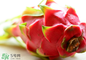 七月份可以種火龍果嗎？火龍果什么時(shí)候種植？