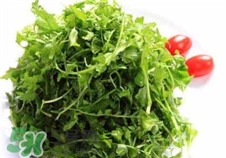 薺薺菜的營養(yǎng)價(jià)值 薺薺菜的藥用價(jià)值