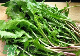 薺薺菜的營養(yǎng)價(jià)值 薺薺菜的藥用價(jià)值