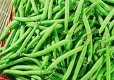 7月份可以種豆角嗎？豆角幾月份種？