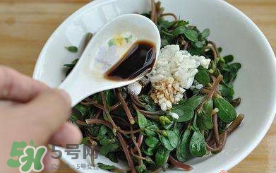 螞蚱菜對人體有哪些好處？螞蚱菜不能和什么一起吃