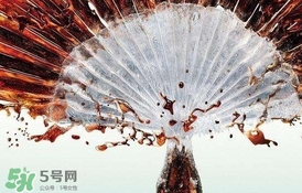 運(yùn)動(dòng)后可以喝可樂(lè)嗎？運(yùn)動(dòng)后喝可樂(lè)會(huì)胖嗎？