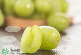 青提怎么保存？青提可以放冰箱嗎？