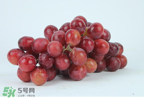 紅提多少錢一斤？紅提子多少錢一斤？