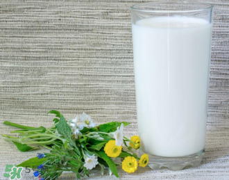 脫脂奶粉哪個(gè)牌子好？脫脂奶粉什么品牌的好？