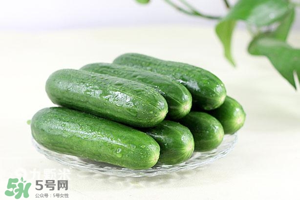 水果黃瓜常溫能放多久？水果黃瓜怎么保存？