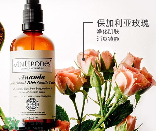 antipodes安媞珀爽膚水多少錢(qián)_專(zhuān)柜價(jià)格