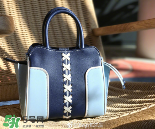 tod's與包先生聯(lián)名合作款折耳包包尺寸多大？