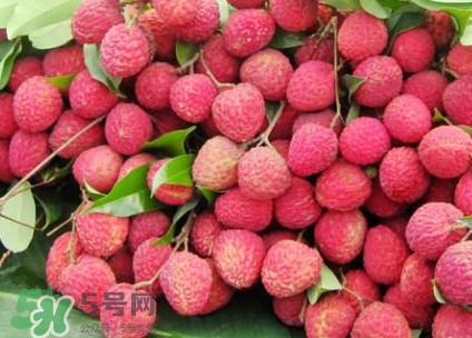 增城荔枝節(jié)是什么時(shí)候？2017年增城荔枝節(jié)時(shí)間