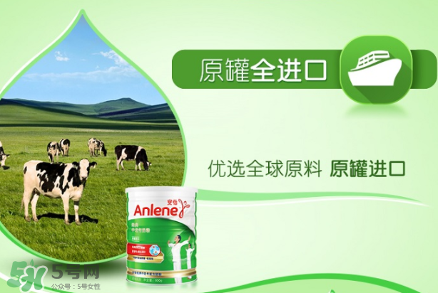Anlene安怡奶粉怎么樣？Anlene安怡奶粉好不好？
