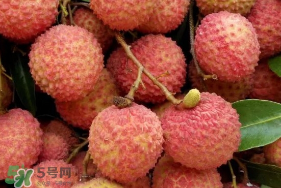 掛綠荔枝什么時候上市？掛綠荔枝什么時候成熟