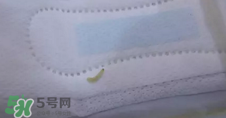高潔絲衛(wèi)生巾有蟲嗎？高潔絲衛(wèi)生巾有熒光劑