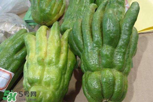 佛手與佛手瓜有什么區(qū)別？佛手與佛手鉗有什么區(qū)別