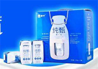 純甄酸奶過期還能喝嗎？純甄酸奶過期一點(diǎn)點(diǎn)要緊嗎？