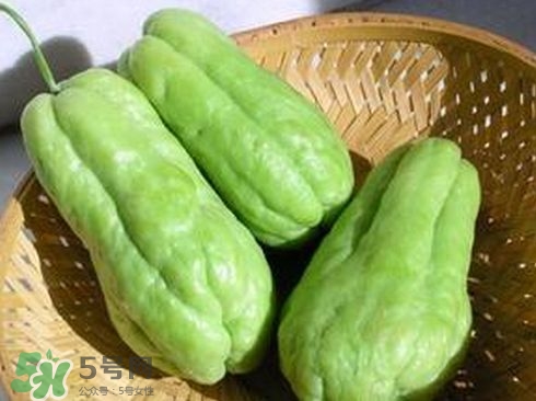 佛手瓜汁沾到手上怎樣洗？佛手瓜怎么做好吃？