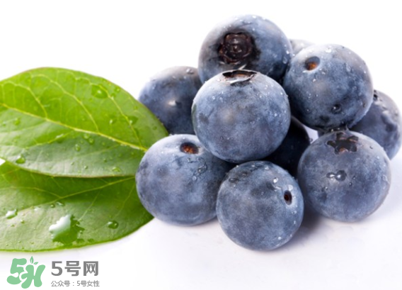 藍(lán)莓是什么顏色？藍(lán)莓泡水什么顏色？