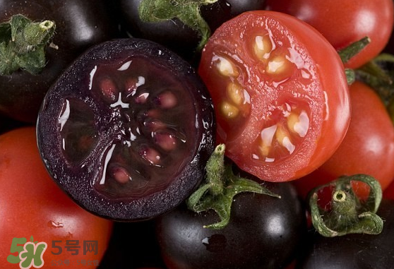 藍(lán)莓和番茄能一起吃嗎？藍(lán)莓和西紅柿能一起吃嗎？