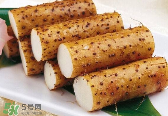 懷山藥是生山藥嗎？懷山藥是鐵棍山藥嗎