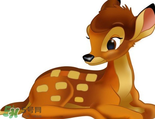 斑比跪是什么意思？斑比跪是什么坐勢(shì)