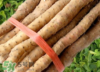 懷山藥可以生吃嗎？懷山藥怎么吃最好