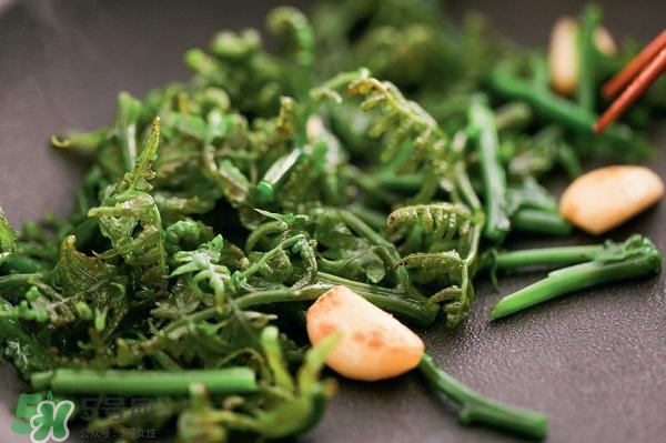 龍須菜怎么清洗？龍須菜怎么處理？